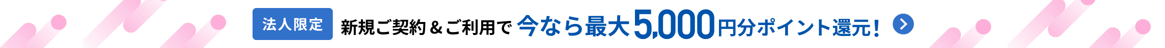 2025年7月31日木曜日まで 法人のお客さま限定！ 夏の新規ご契約キャンペーン 新規ご契約&ご利用で今なら最大5,000円分ポイント還元！ 詳しく見る