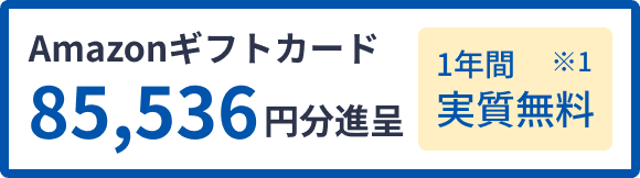 Amazonギフトカード 85,536円分進呈 実質0円 ※1