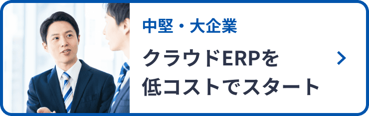 中堅・大企業 クラウドERPを低コストでスタート
